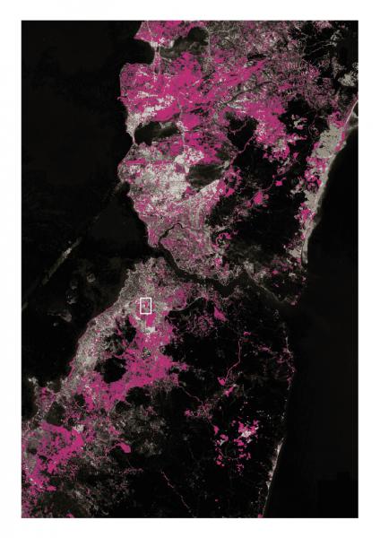 Through the use of Landsat technology, I can determine the physical transformation in the cities of Turkey. The magenta indicates the massive expansion of Istanbul between 1987 and 2006