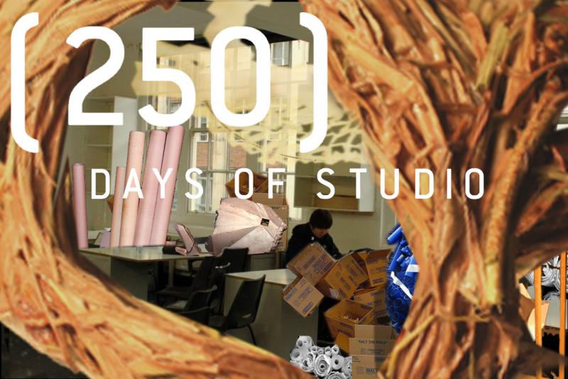 Portfolio project animation scene 1, (250) days of studio.