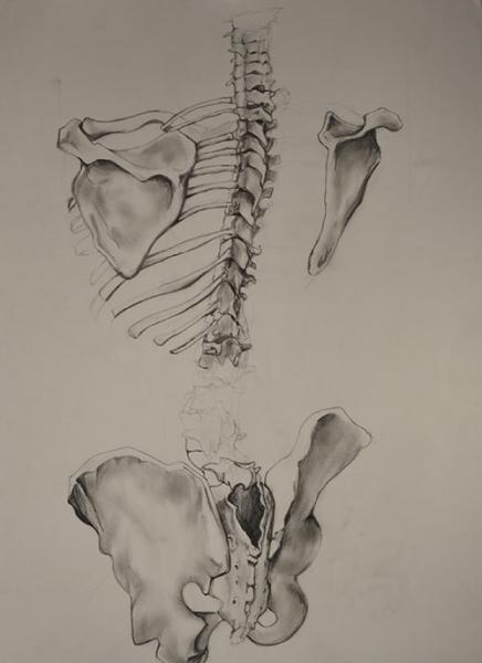 spine conceals and protects vital link between body and mind, pencil on paper. research for dress.
its a wrap project
